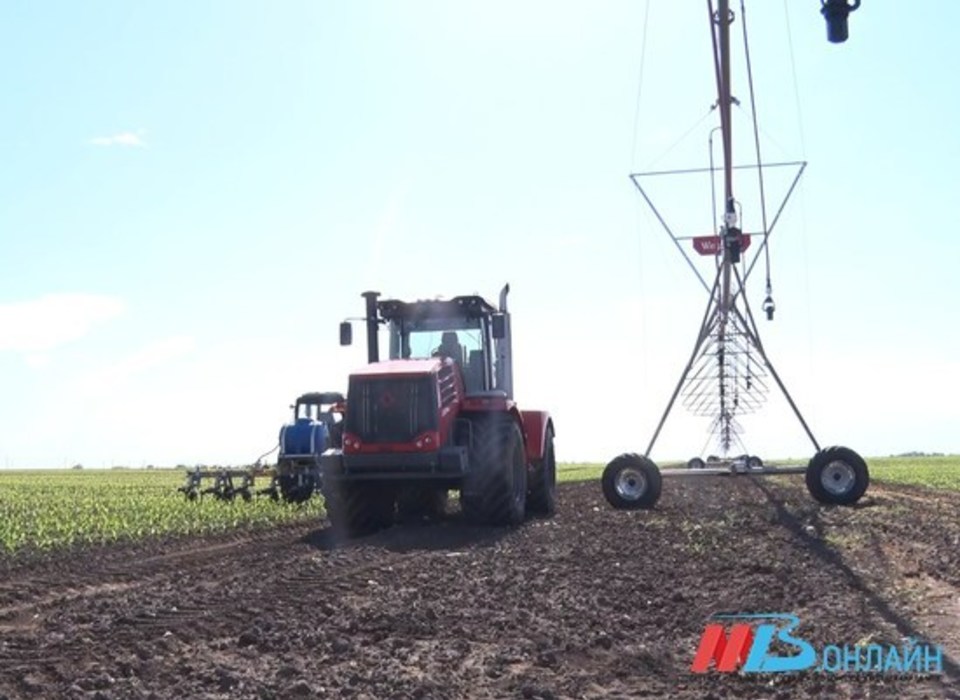 150 инвестпроектов планируют реализовать аграрии Волгоградской области
